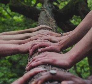 shane-rounce-DNkoNXQti3c-unsplash